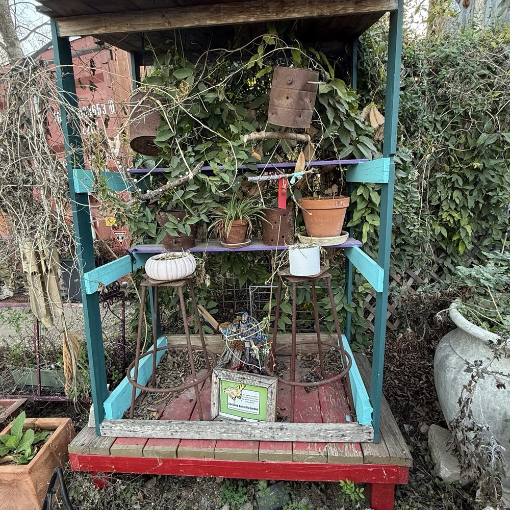 The Butterfly Bar - Butterfly Garden - Lounges Near Me - Austin, Texas