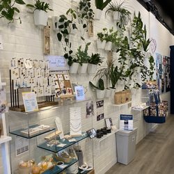 NUTTEA - Entrance plant wall