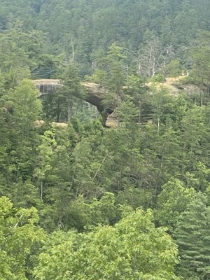 Daniel Boone National Forest by null