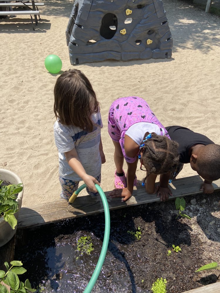 Blossoms Day Care - childcare center in Chapel Hill, NC