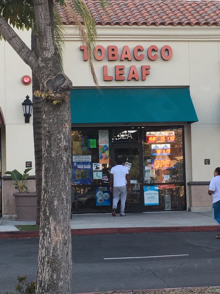 tobacco-leaf-updated-november-2024-33-photos-25920-iris-ave