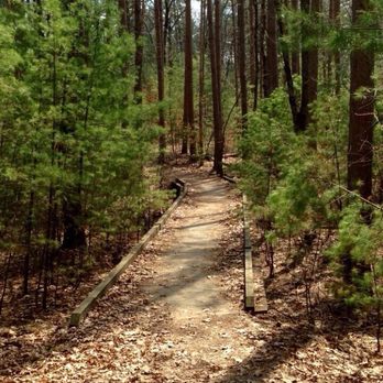 Harold Parker State Forest - Star dust trail bridge - Parks Near Me - North Andover, Massachusetts