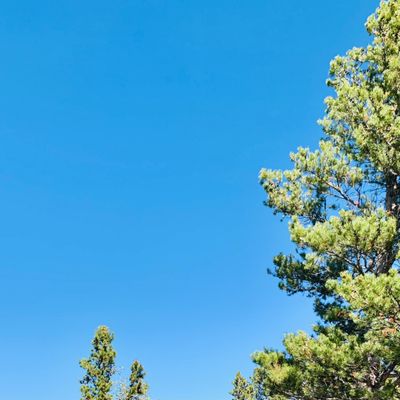 Golden Gate Canyon State Park by null