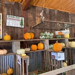 Elves Christmas Tree Farm & Pumpkin Patch