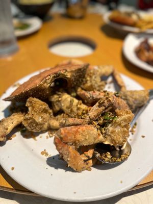 PPQ Dungeness Island - Millbrae by null