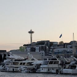 Emerald City Pirates