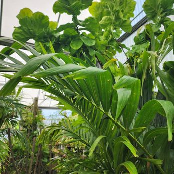 Leonardi's Nursery Landscaping & Irrigation - Nurseries & Gardening Near Me - Saint Augustine, Florida