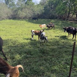 HorseTales Ranch - The trails bring you back to nature