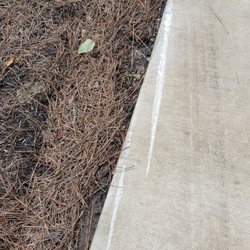 GutterBoyz SC - gouged out driveway