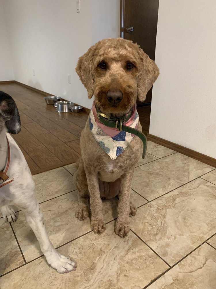 LUCKY DOG GROOMING Updated October 2024 14 Reviews 660 SE Hwy 101