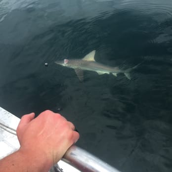 Swoop II Adventures - One person who was trying to land a grouper got the fight of his life with reeling in a shark. - Boat Charters Near Me - Destin, Florida Swoop II Adventures - One person who was trying to land a grouper got the fight of his life with reeling in a shark. - Boat Charters Near Me - Destin, Florida
