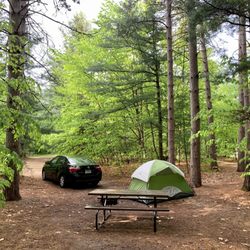 Empire Township Campground - My campsite #6 in the heart of nature!