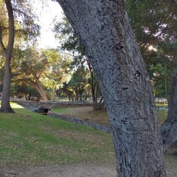 Lovely shade for family and friends picnics, ballgames, hikes, and general peaceful sunshine in sunny southern.California.
