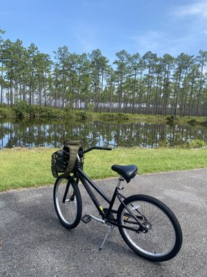 Okefenokee Adventures by null