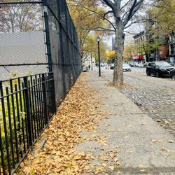 Clinton Hill - Autumn rain. Clinton Hill, Brooklyn.