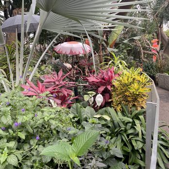 Bloedel Conservatory - Botanical Gardens Near Me - Vancouver, British Columbia
