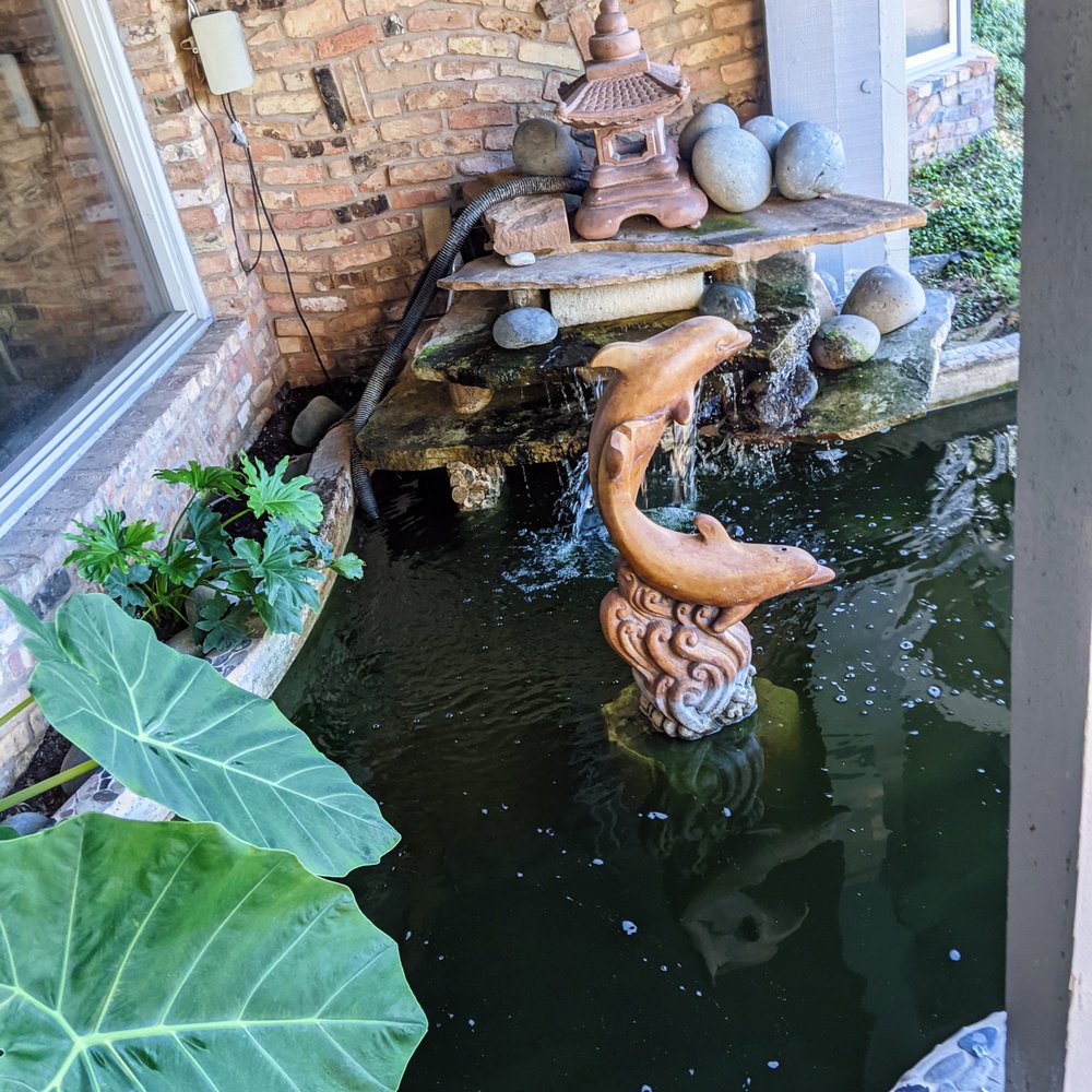 Pho Hung Cuong Restaurant - Pond - Vietnamese Near Me - San Antonio, Texas Pho Hung Cuong Restaurant - Pond - Vietnamese Near Me - San Antonio, Texas
