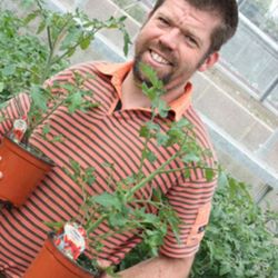 Country Market - Home grown plants from our nursery