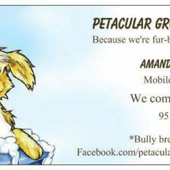 Petacular Grooming - Business card - Pet Groomers Near Me