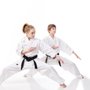 Alexander's Martial Arts