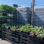 Photo of Second Chance Plants