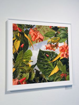 Houston Center For Photography by null