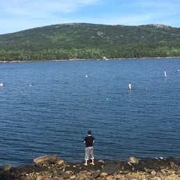 Views from Anchor site...