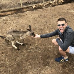 Let's Show You Tasmania Day Tours