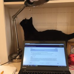 Professional Exam Tutoring - A little helper while I go through practice problems with a student.