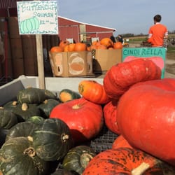 Schacht Farm Market