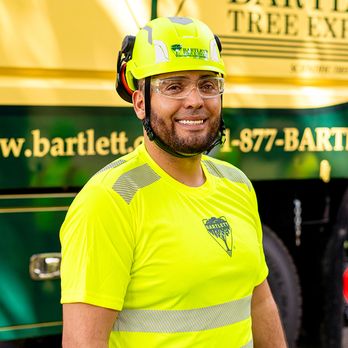 Bartlett Tree Experts - Tree Services Near Me - Roanoke, Virginia Bartlett Tree Experts - Tree Services Near Me - Roanoke, Virginia