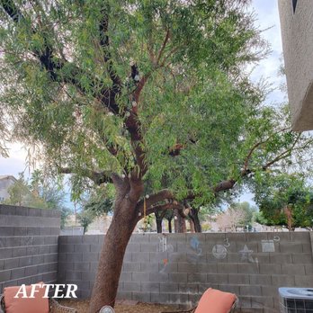 Fierros Services - After trim - Landscaping Near Me Fierros Services - After trim - Landscaping Near Me