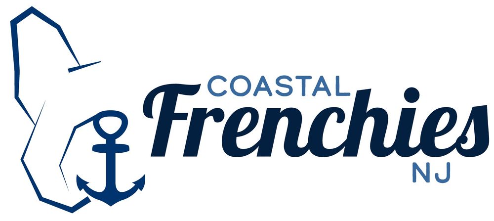 Coastal Frenchies NJ Image