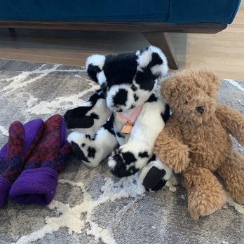 Vermont Teddy Bear - Toy Stores Near Me - Shelburne, Vermont