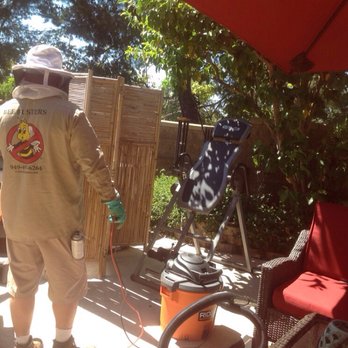 Bee Busters - They vacuumed away the bees that would have ruined our outdoor living for the Fourth! - Pest Control Near Me - Laguna Hills, California