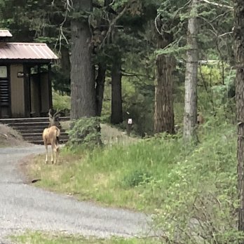 Amphitheater Campground - Campgrounds Near Me - Ouray, Colorado