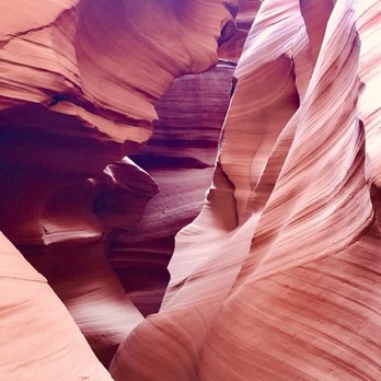 Taadidiin Tours - Canyon path - Walking Tours Near Me - Page, Arizona Taadidiin Tours - Canyon path - Walking Tours Near Me - Page, Arizona
