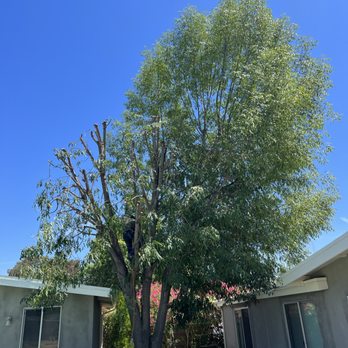 Royalty Tree Services - Tree Services Near Me Royalty Tree Services - Tree Services Near Me