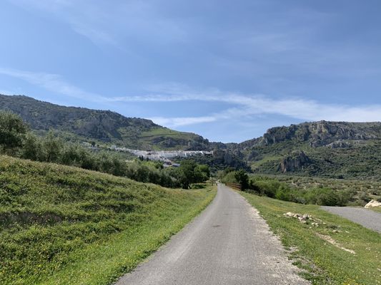 Casa Olea by null