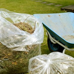 Cutting Edge Yard Service - Fall Yard Clean Up From A Lawn Care Pro At Cutting Edge Yard Service