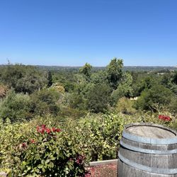 Cristaldi Vineyards - View from the wine tasting patio