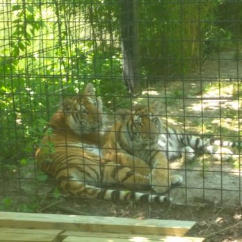 Cohanzick Zoo - Zoos Near Me - Bridgeton, New Jersey
