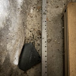Catseye Pest Control - Droppings not cleaned.