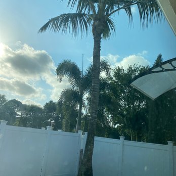 Francisco Landscape - a palm tree and a white fence - Tree Services Near Me - Lake Worth, Florida Francisco Landscape - a palm tree and a white fence - Tree Services Near Me - Lake Worth, Florida