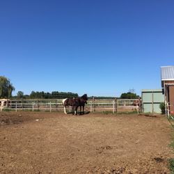 Ranch Liberté