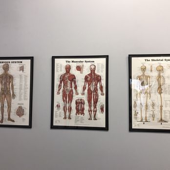 Lone Star Sport & Spine - Anatomy Pictures - Physical Therapy Near Me - Plano, Texas Lone Star Sport & Spine - Anatomy Pictures - Physical Therapy Near Me - Plano, Texas