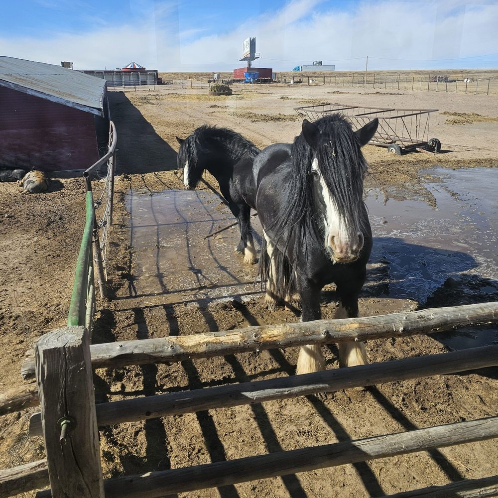 Terry Bison Ranch Resort - Venues & Event Spaces Near Me - Cheyenne, Wyoming