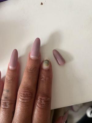 eMarie - Boutique Nail Salon - Forsyth Park by null