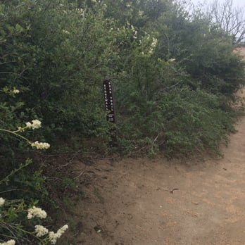 Stonewall Peak Trail - .2 more miles to the top - Parks Near Me - Descanso, California Stonewall Peak Trail - .2 more miles to the top - Parks Near Me - Descanso, California
