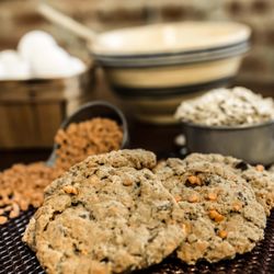 The Warm Cookie - Oatmeal Butterscotch & Chocolate aka "the Rachel"